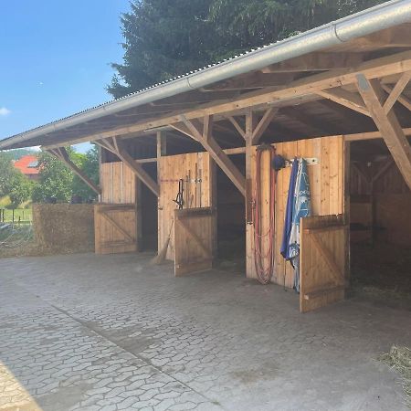 Luises Ferienglueck Apartment Vernawahlshausen Екстериор снимка