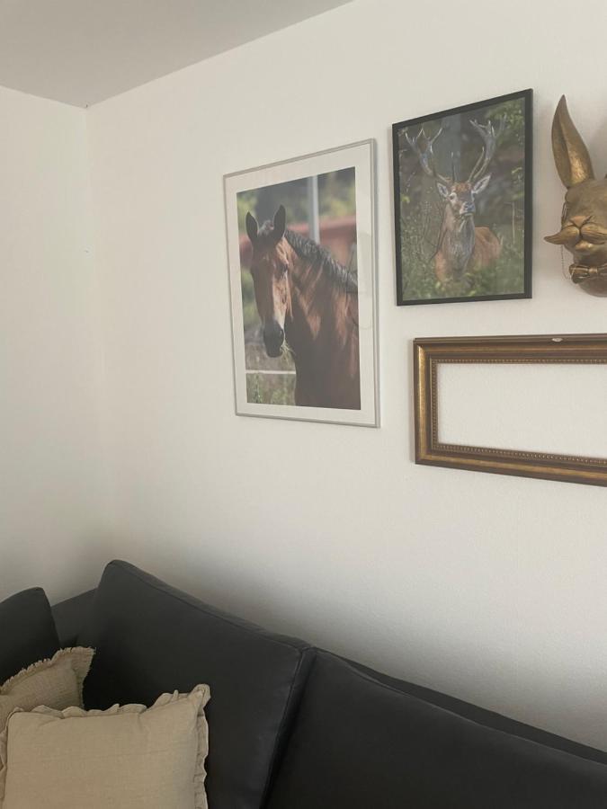 Luises Ferienglueck Apartment Vernawahlshausen Екстериор снимка